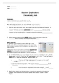 Exam (elaborations) CHEM 485 