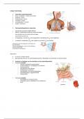 Biologie cursus samenvatting ademhaling