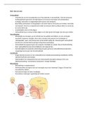 Samenvatting KNO en Oog + geneesmiddelen