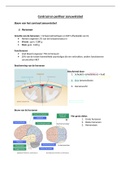 Samenvatting Biogenie 3.2 Bouw zenuwstelsel