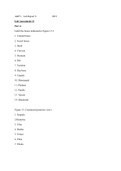 A&P I: Lab 8:skeletal system; organization and skull