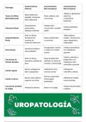 Resumen Robbins y Cotran. Atlas de anatomía patologica   StudentConsult -  Uropatologia