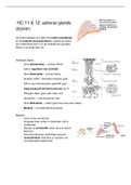 Volledige stof deeltentamen 2 Hormonen en Homeostase - Biomedische Wetenschappen UU