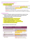 Exam (elaborations) NURS307 Week3 Heart Chamberlain College of Nursing (NURS307 Week3 Heart Chamberlain College of Nursing)