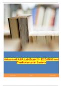 Advanced A&P Lab Exam 3 - ECG/EKG and Cardiovascular System