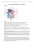 Samenvatting hart, bloedsomloop en bloedtypen