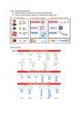 Biol 275 (Cell and Molecular Biology) - Exam 1 Review