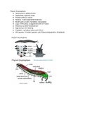 Phylum Onychophora - Panarthropoda