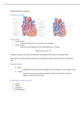 NURS190 Midterm Study Guide