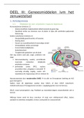 Samenvatting geneesmiddelen ivm het zenuwstelsel