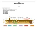 Bios 256 Midterm Exam - Summarized Exam Guide Review