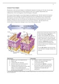 NSG 252 Concept of Tissue Integrity