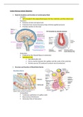 BSC 2085L FINAL EXAM OBJECTIVE GUIDE 