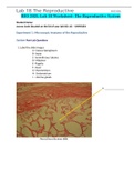 BIO 202L Lab 18 Worksheet- The Reproductive System