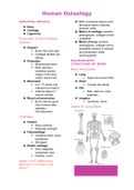 Human Osteology