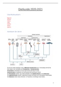 Samenvatting Dierkunde 