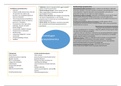 HBO SOCIAL WORK MWD SPH Jaar 1 Propedeuse 1677 Groepsdynamica Remmerswaal Mindmaps voor leren tentamen 