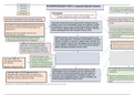 Acquired Aplastic Anemia