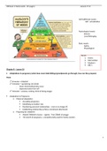 HS MISC-OB Exam 2 study guide 45 pages.docx | (Obstetrics, progesterone, Identifying, Alteration). Chamberlain College of Nursing.