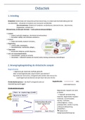 Didactiek met lesnotities en afbeeldingen