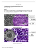 Week 4 Labs -Analysis of Thymic glands-2021