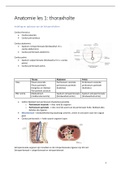 Samenvatting alle lessen anatomie inwendige organen (resultaat: 17/20)