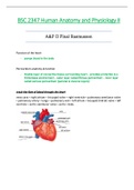 BSC2347 / BSC 2347 Final Exam (Latest 2021): Human Anatomy & Physiology II - Rasmussen