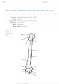 BIO 207 Lab Practical 1/Middle Georgia State University/ Best revision material before the exam