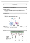 samenvatting microbiologie en infectiepreventie