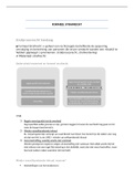 Samenvatting Formeel Strafrecht 2020-2021