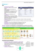 Samenvatting blok 1.5C 'Changing Man'