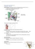 Anatomie 1.4 Samenvatting