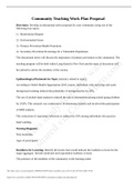 Exam (elaborations) HUMANITY 205 81488639_community_teaching_work_plan_proposal