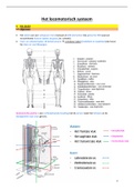 Samenvatting Pathofysiologie II: Locomotorisch stelsel, derma- en hematologie 1e bachelor UGent