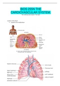 BIOS 255N THE  CARDIOVASCULAR SYSTEM. | COMPLETE GUIDE 