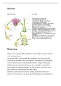 BVJ Biologie 1 VWO hoofdstuk 6 samenvatting