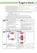 OCR A-Level Biology 3.1.2 Transport in Animals 