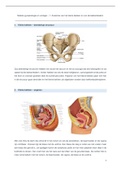 Cursus Module Urogynaecologie