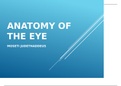 ANATOMY OF THE EYE