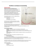 Samenvatting H11: Ademhaling/Long Veterinaire Fysiologie B (2020-2021)