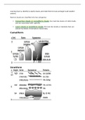 University of British Columbia - ATSC 113 Final Outline.