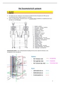 Samenvatting Pathofysiologie II: Locomotorisch stelsel, derma- en hematologie 1e bachelor UGent