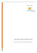 Samenvatting Sociaal Werk Perspectief