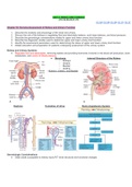 MEDSURG 1341Unit 2 Notes-MedSurg-Level 2.pdf