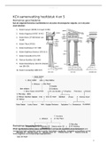 Samenvatting Synopsis hoofdstuk 4 en 5