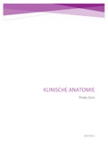 Klinische anatomie