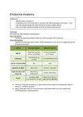 Adult Pathophysiology 