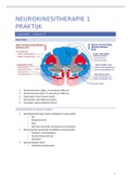 Neurokinesitherapie 1 praktijk