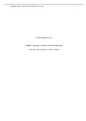 FIN300 - Principles of Finance for the Private Sector _FIN 300 Capital Budgeting Case: Colorado State University - Global Campus