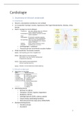 Cardiologie - complete samenvatting